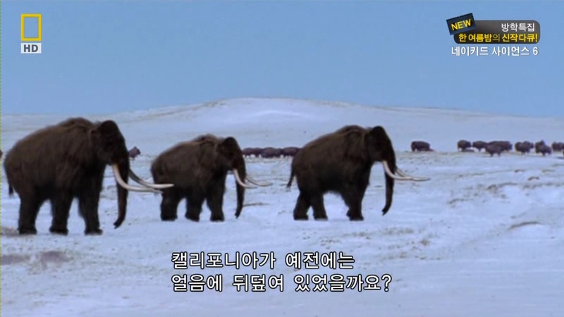 [NGC] 네이키드 사이언스S6-E04.지구의 멸망.HDTV.XviD.avi_000497396.jpg