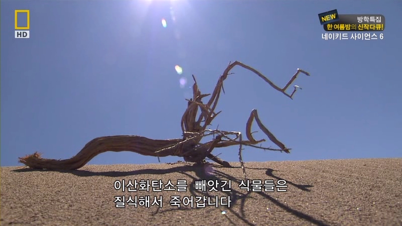 [NGC] 네이키드 사이언스S6-E04.지구의 멸망.HDTV.XviD.avi_001650181.jpg